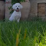 Apartament Ridente *