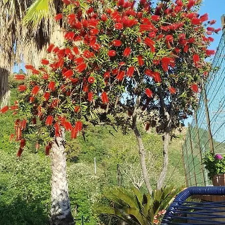 Ridente Apartman Palermo